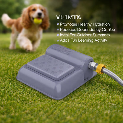 Splash Spring Fountain – Paw-Activated Outdoor Dog Water Fountain | Step-On Dog Water Dispenser with Hose Connection for Yard & Garden