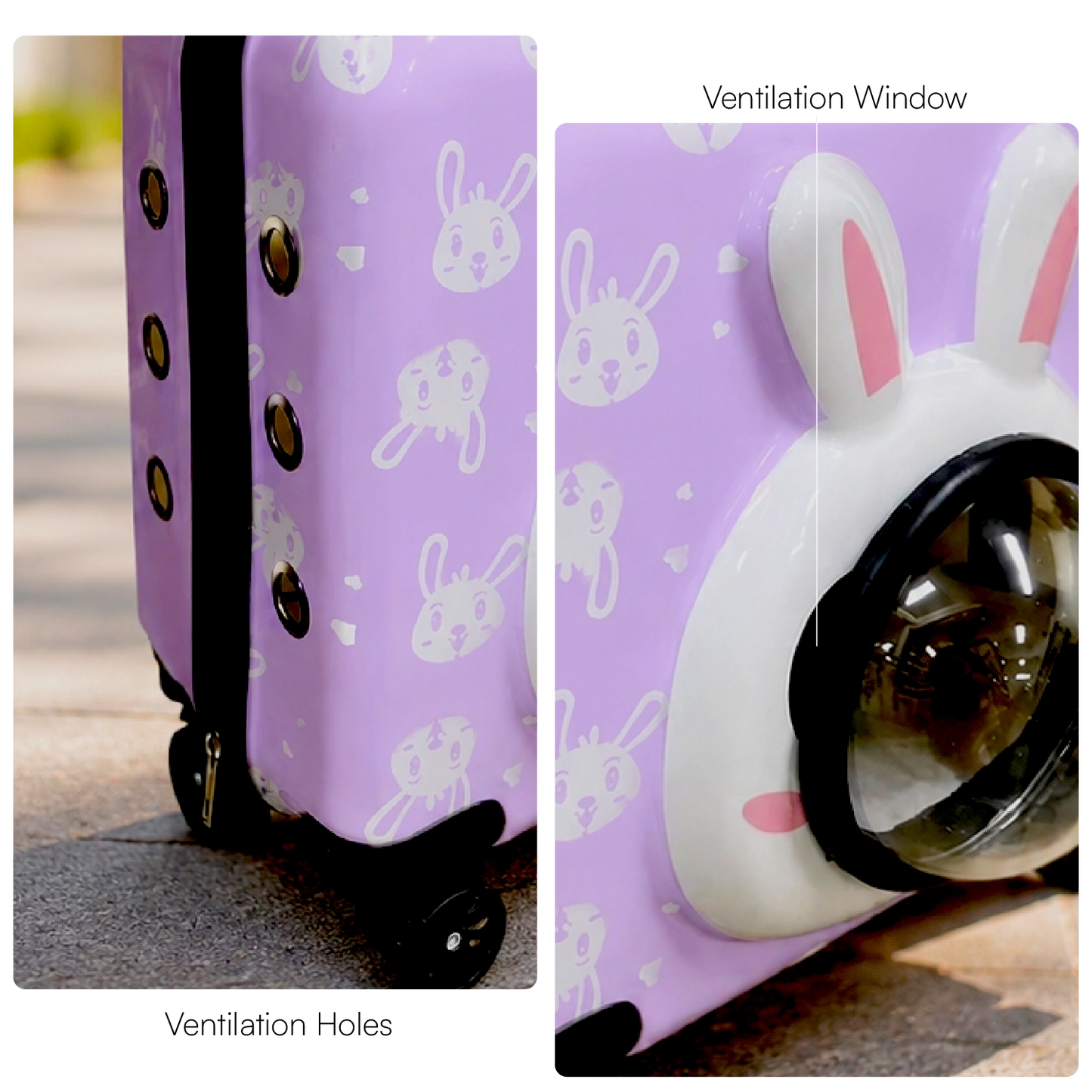 Wander Whiskers | Suitcase-Style Pet Carrier | Air-Comfy Travel