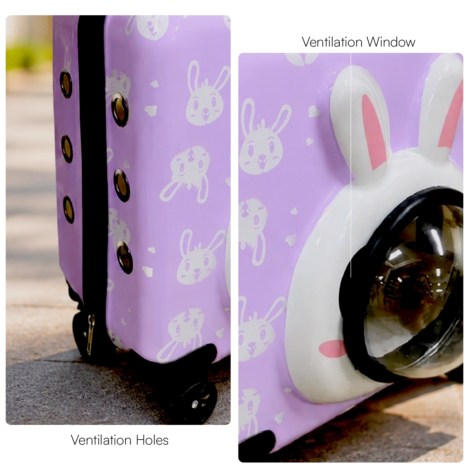Wander Whiskers | Suitcase-Style Pet Carrier | Air-Comfy Travel