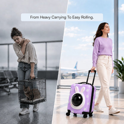 Wander Whiskers | Suitcase-Style Pet Carrier | Air-Comfy Travel