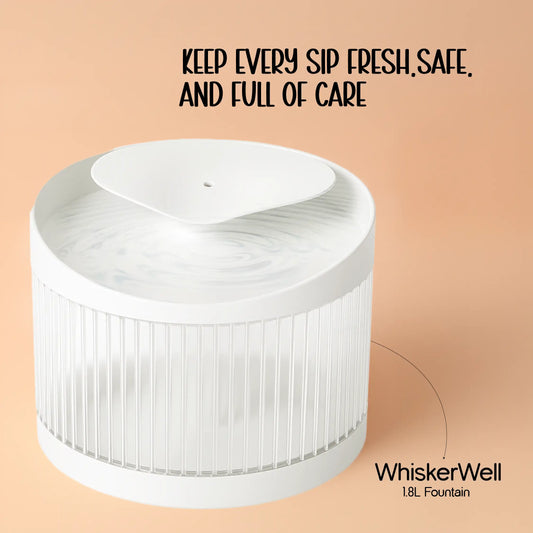 WhiskerWell Cat Water Fountain | Fresh, Filtered Hydration for Pets