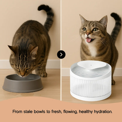 WhiskerWell Cat Water Fountain | Fresh, Filtered Hydration for Pets