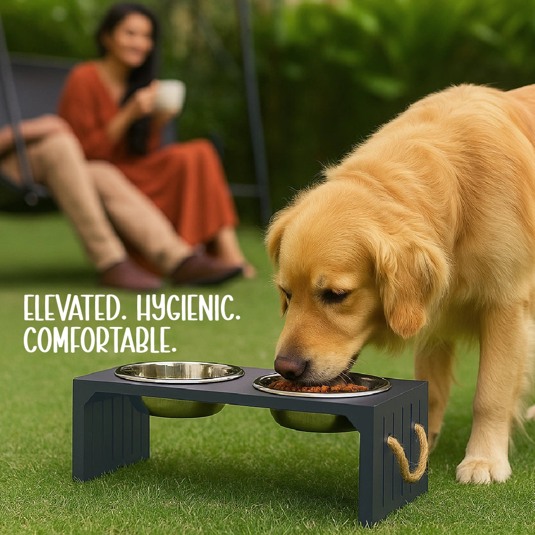 WoodyBowl Elite Duo | Elevated Dog Bowl for Comfort & Clean Mealtime