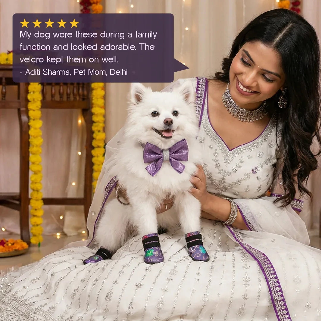 Woven Boots – Wedding & Festive Wear for Stylish Dogs - Tilting Heads