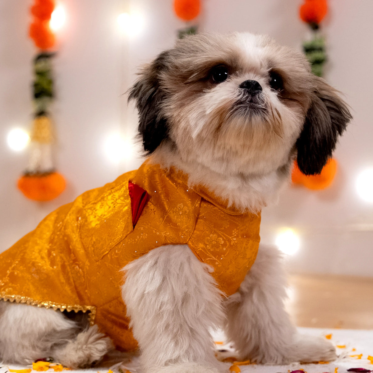 GulKesar Kurta