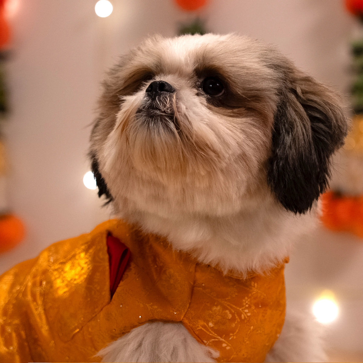 GulKesar Kurta