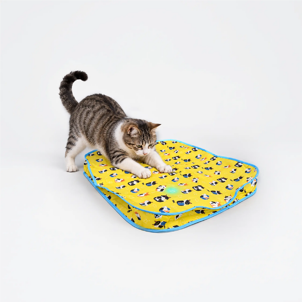 Mystery Motion Mat