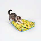 Mystery Motion Mat