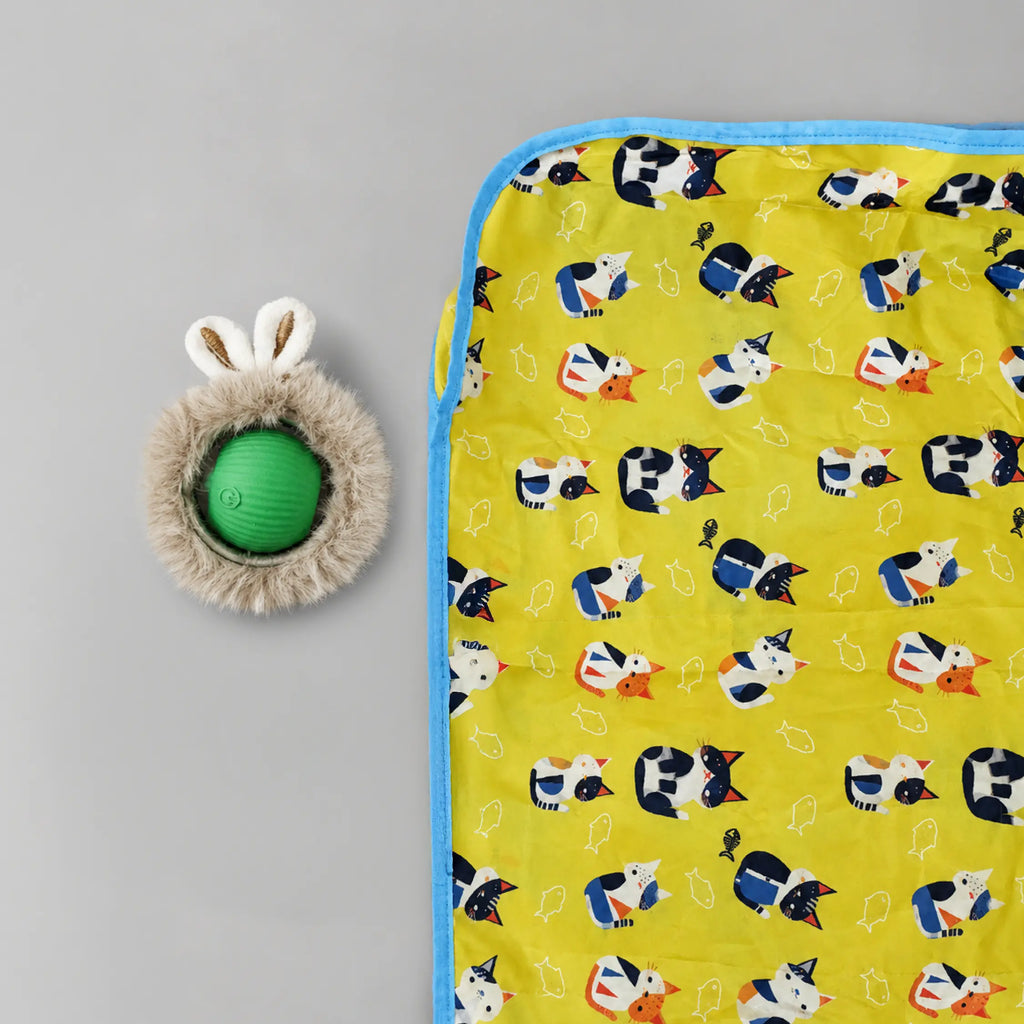 Mystery Motion Mat