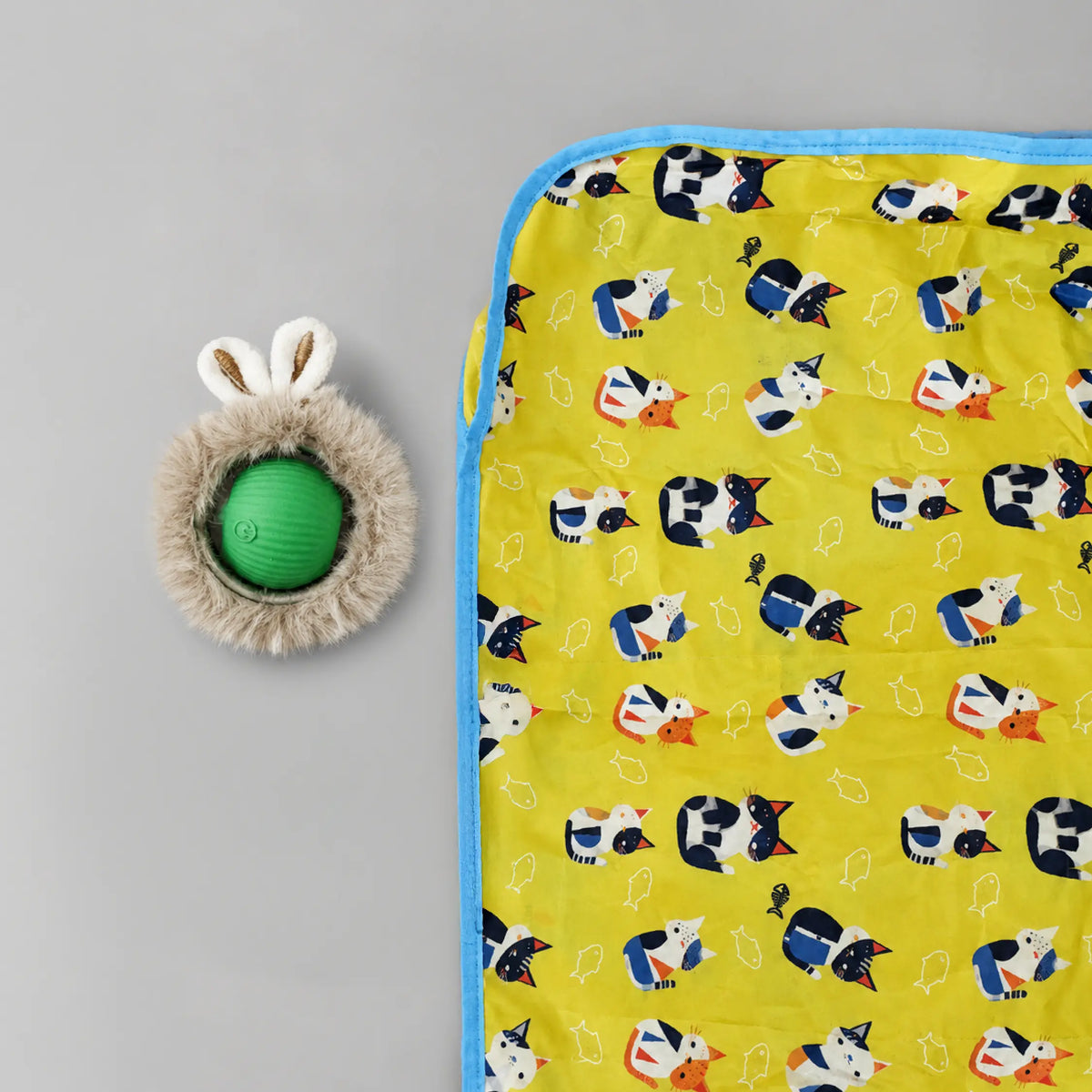 Mystery Motion Mat