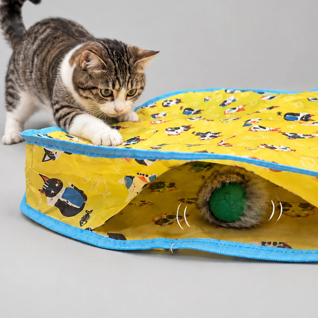 Mystery Motion Mat