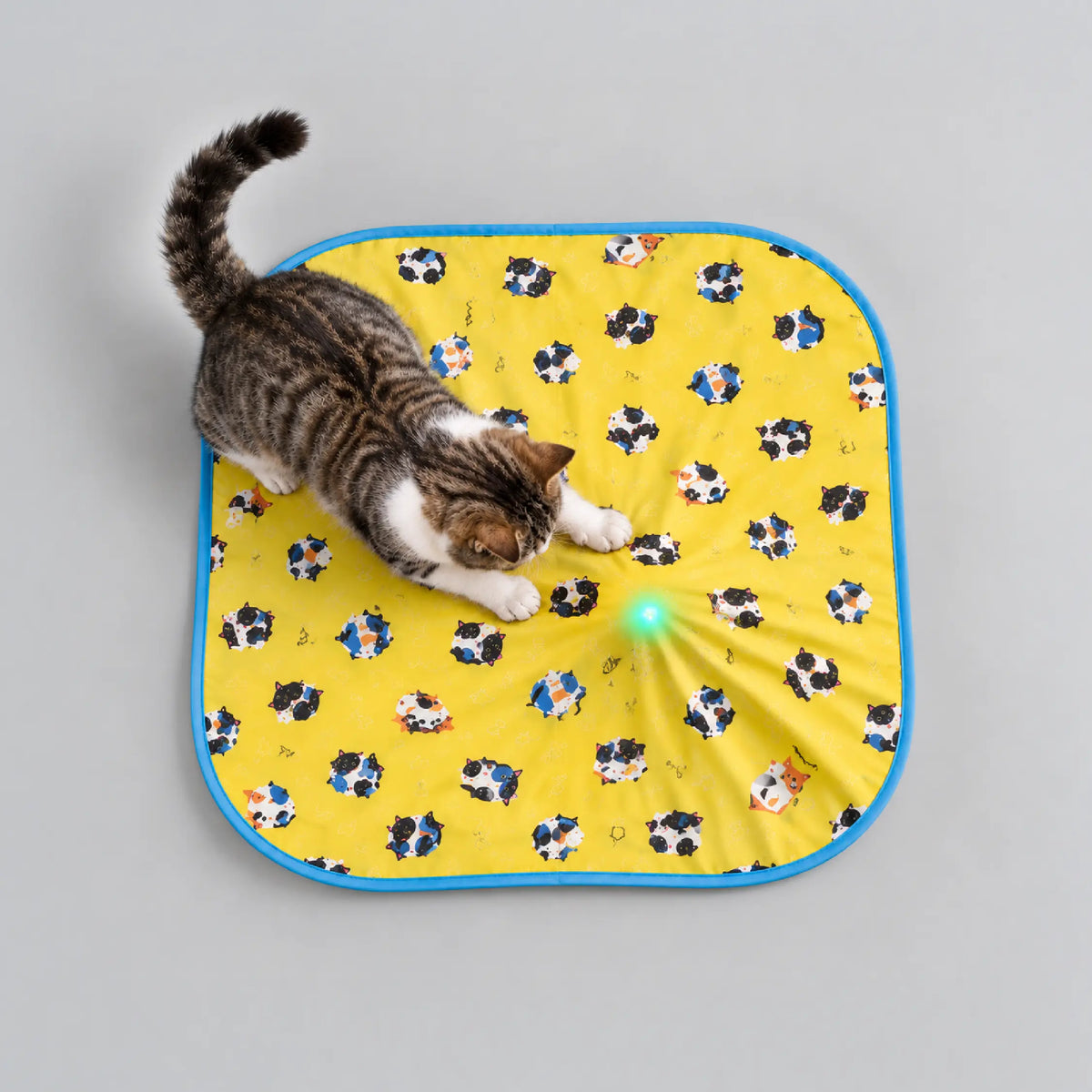 Mystery Motion Mat