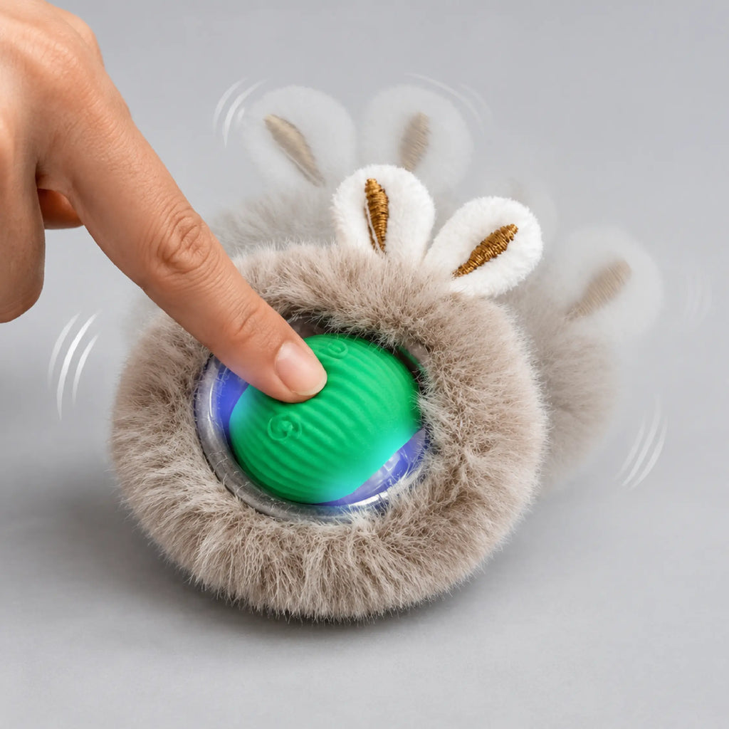 Mystery Motion Mat