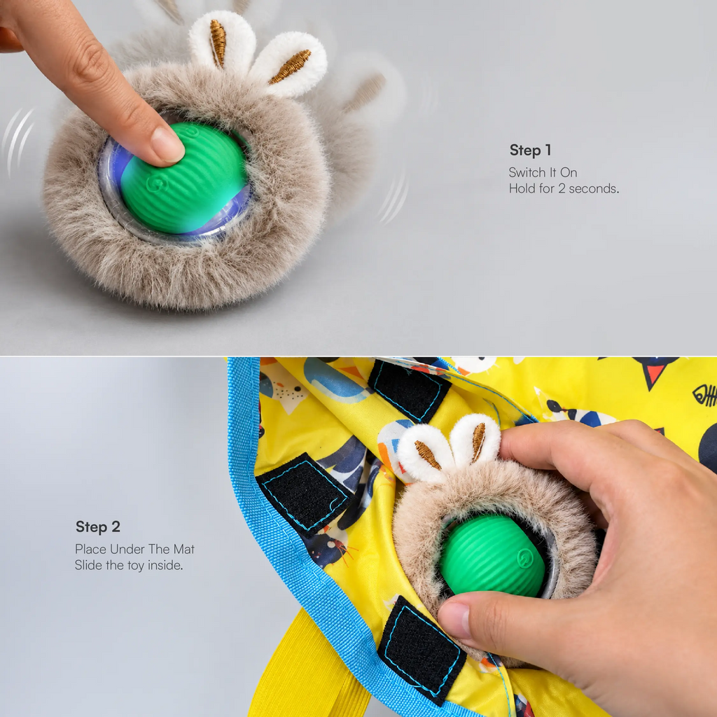 Mystery Motion Mat
