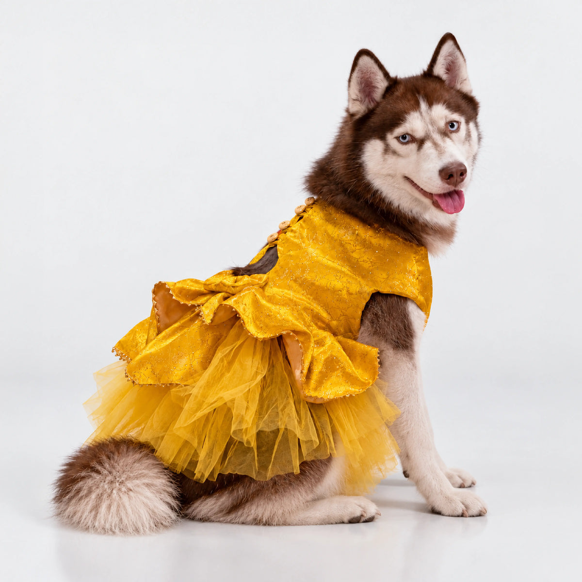 Sunehri Twirl Dress