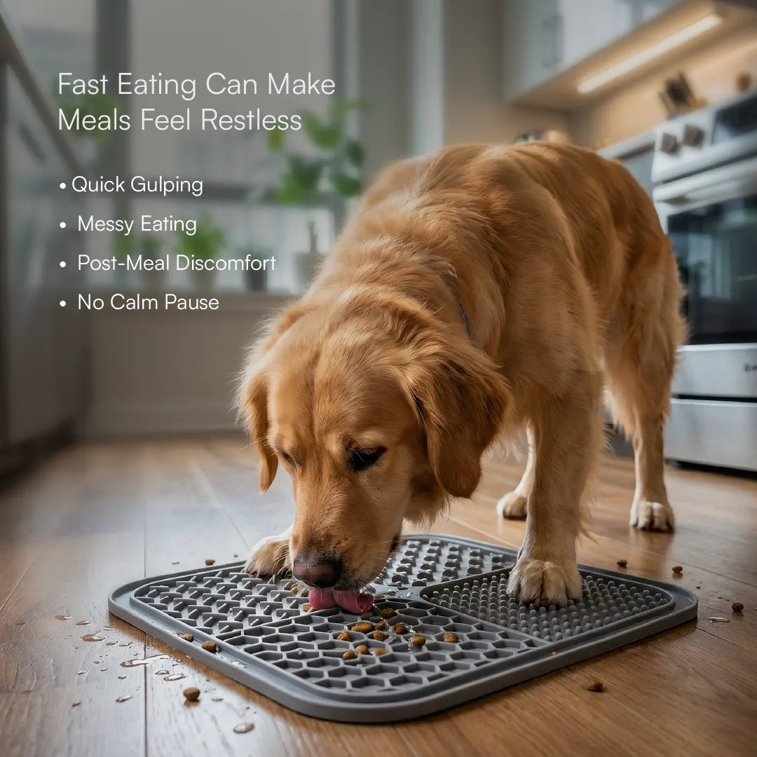 ZenLick Dog Food Mat – Slow Feeder & Anxiety Relief Tool