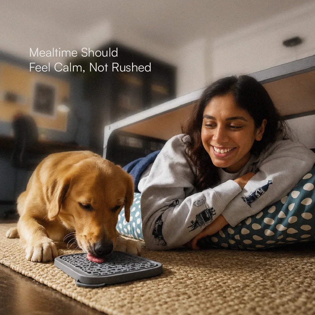 ZenLick Dog Food Mat – Slow Feeder & Anxiety Relief Tool
