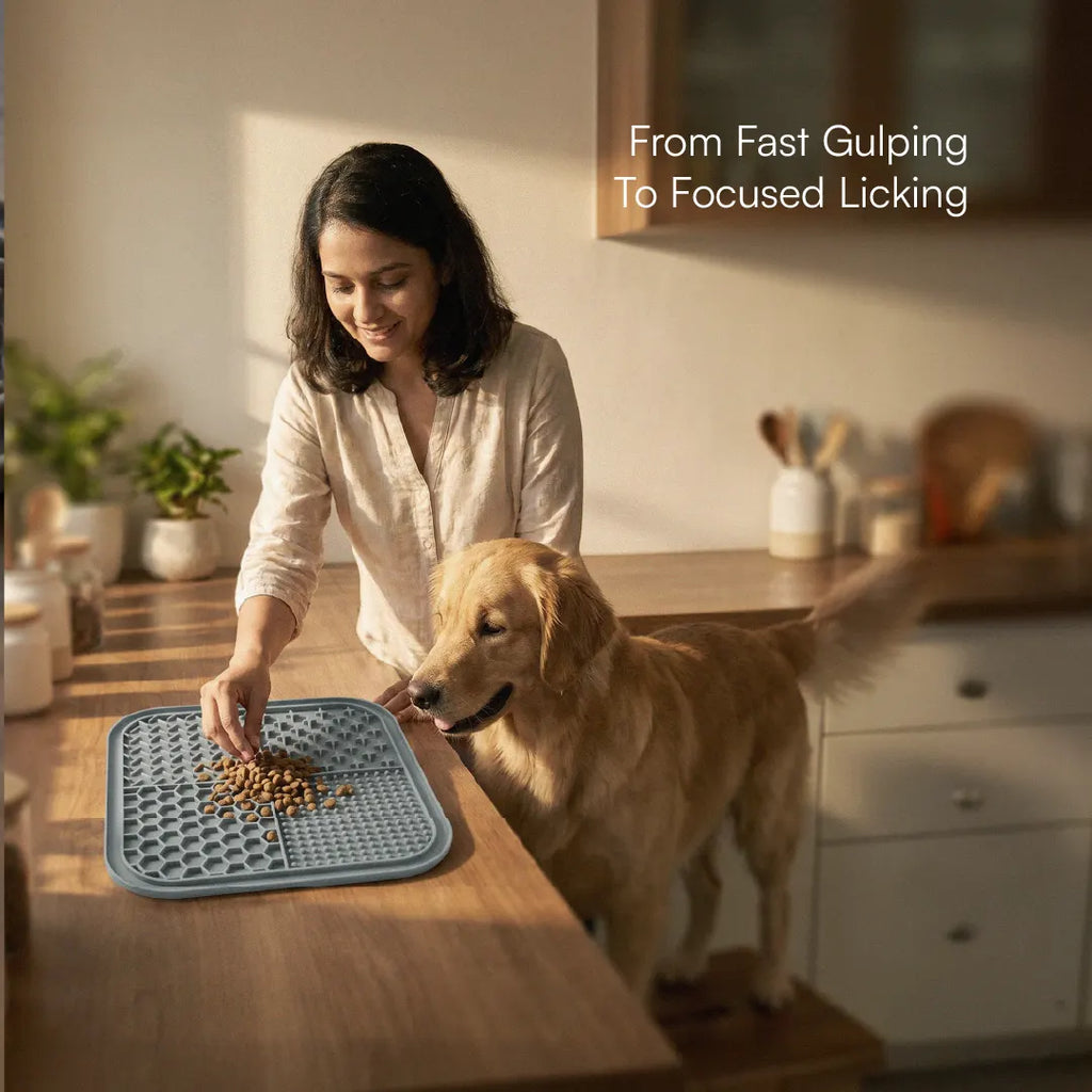 ZenLick Dog Food Mat – Slow Feeder & Anxiety Relief Tool