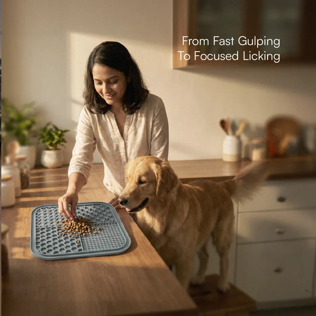 ZenLick Dog Food Mat – Slow Feeder & Anxiety Relief Tool