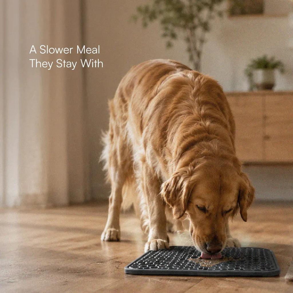 ZenLick Dog Food Mat – Slow Feeder & Anxiety Relief Tool