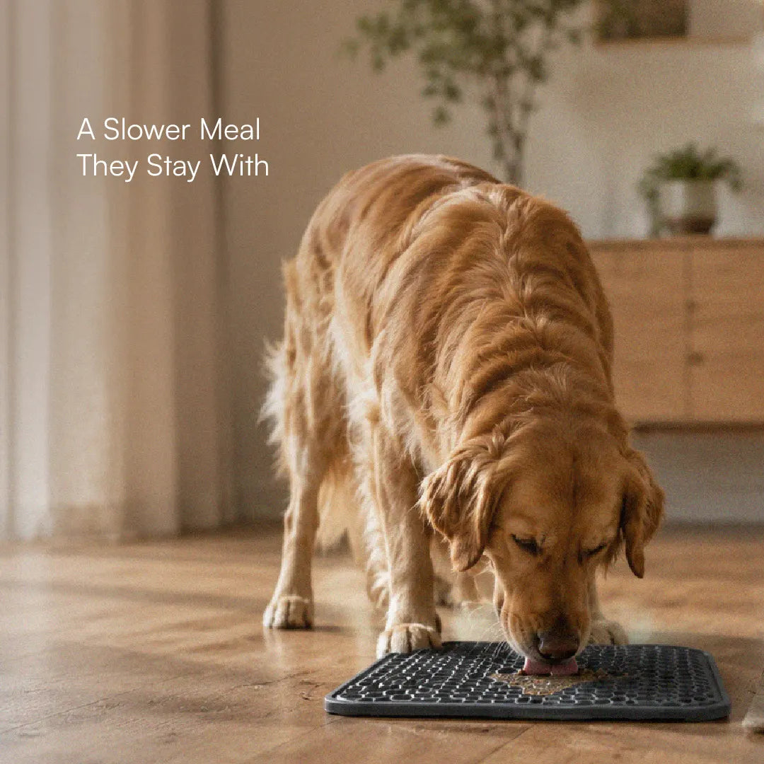 ZenLick Dog Food Mat – Slow Feeder & Anxiety Relief Tool