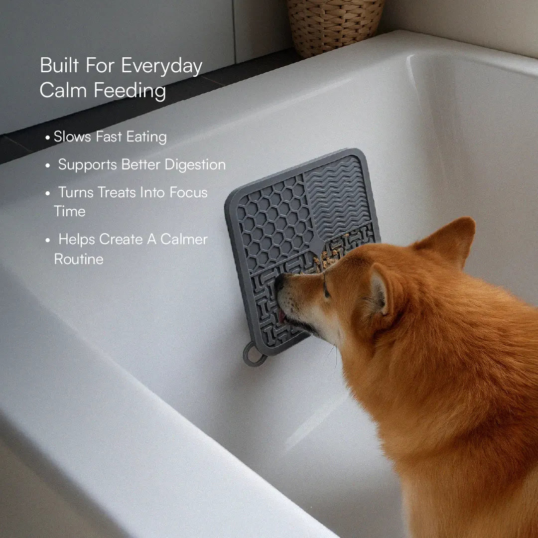 ZenLick Dog Food Mat – Slow Feeder & Anxiety Relief Tool