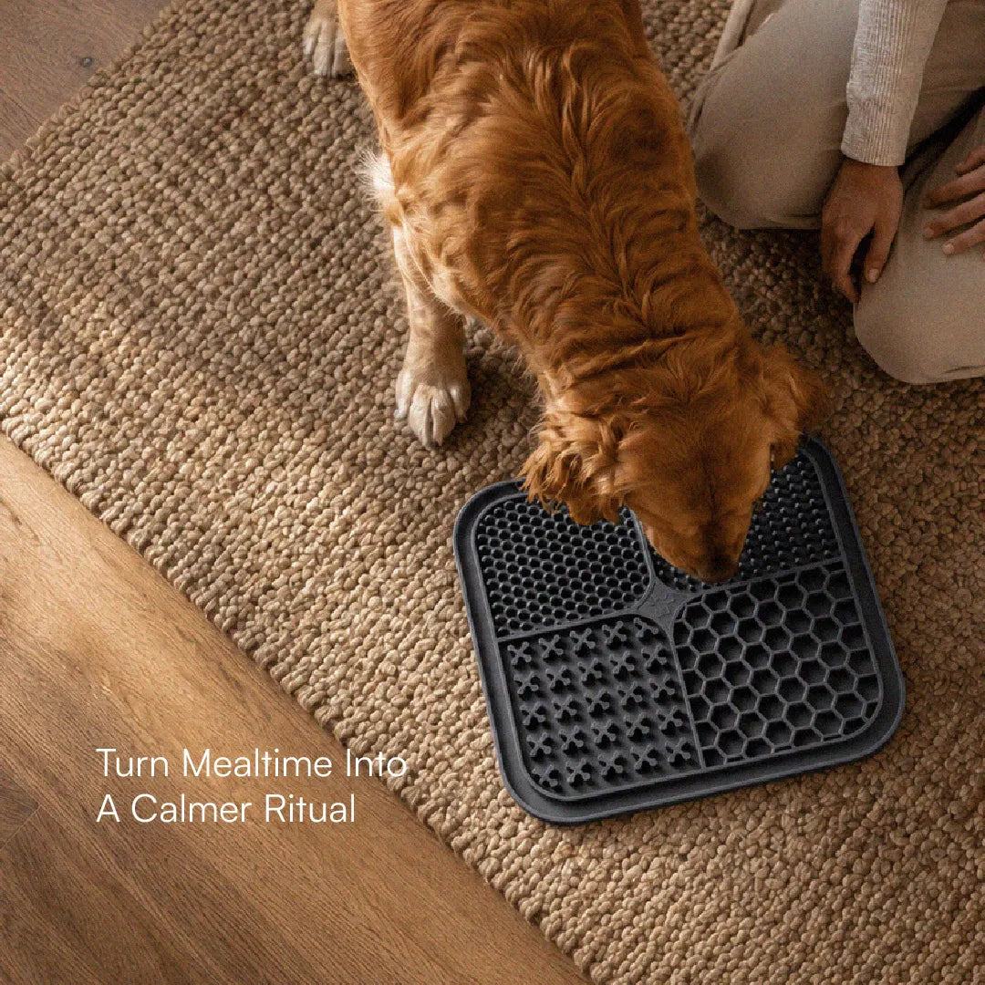 ZenLick Dog Food Mat – Slow Feeder & Anxiety Relief Tool