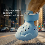 ZeviKix – Breathable Dog Shoes with Anti-Slip Sole & Adjustable Velcro Strap | Lightweight Paw Protection for Small Dogs & Daily Walks