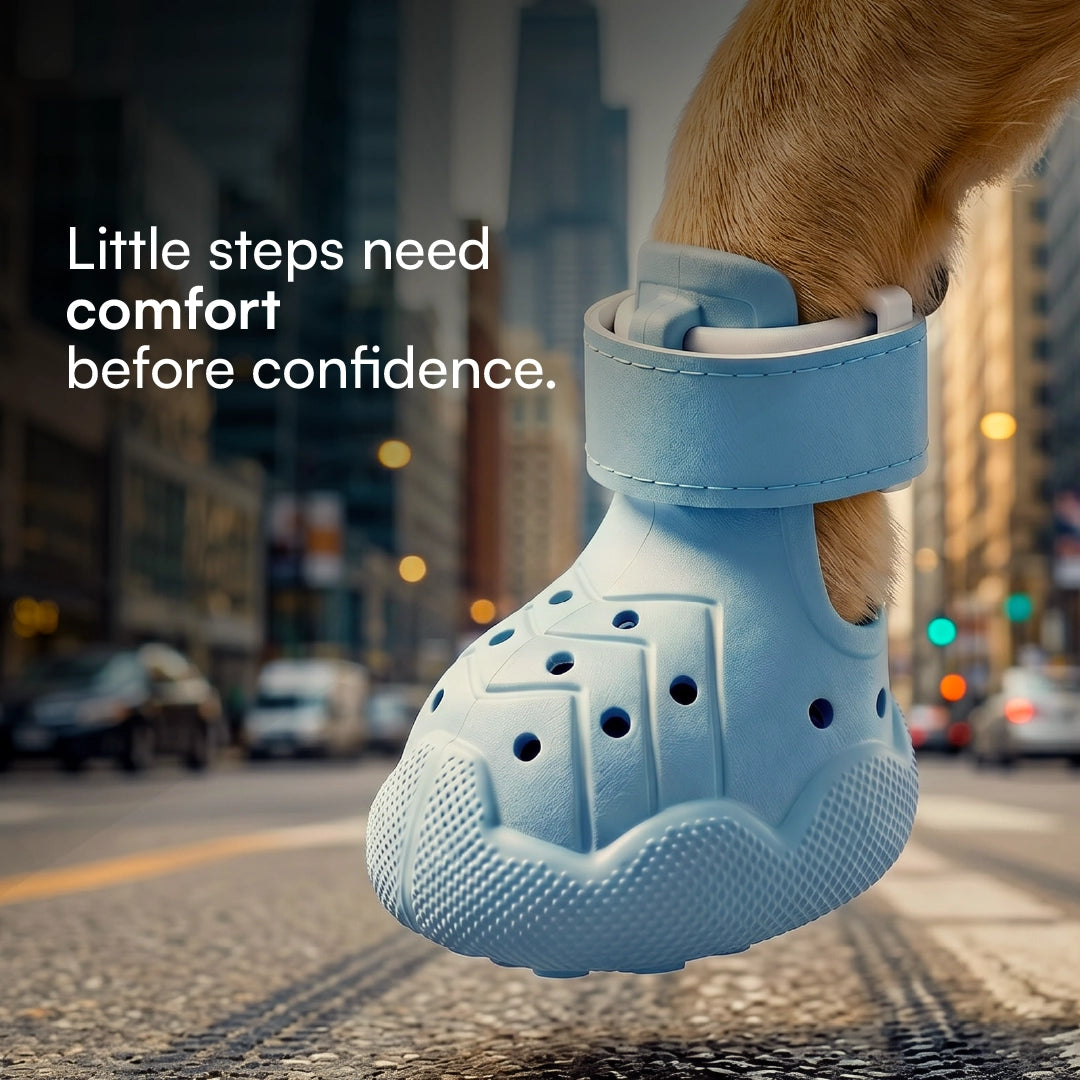 ZeviKix – Breathable Dog Shoes with Anti-Slip Sole & Adjustable Velcro Strap | Lightweight Paw Protection for Small Dogs & Daily Walks