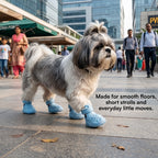 ZeviKix – Breathable Dog Shoes with Anti-Slip Sole & Adjustable Velcro Strap | Lightweight Paw Protection for Small Dogs & Daily Walks