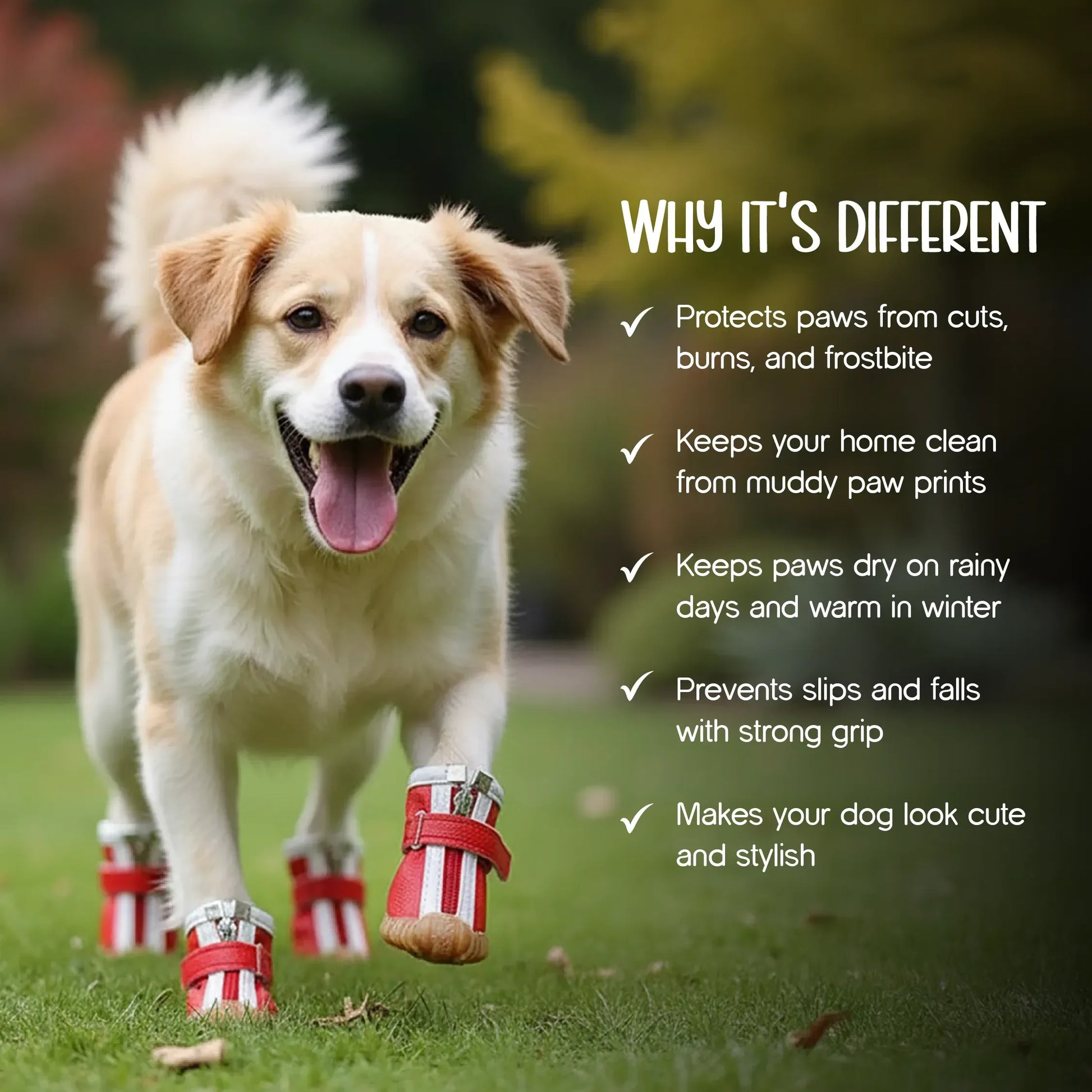 ZipTrek Boots | Secure Fit | Waterproof Paw Protection - Tilting Heads